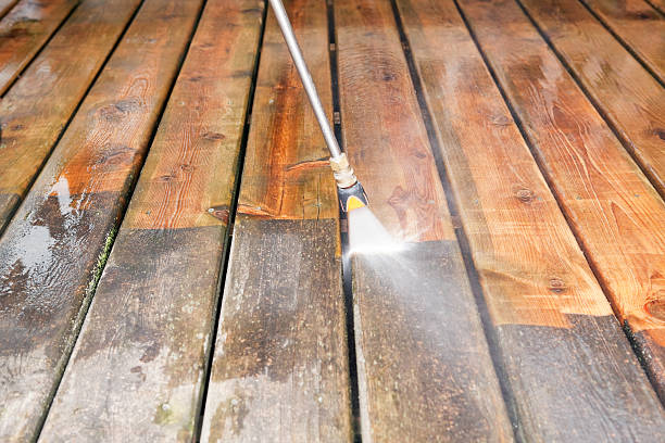 Best Gutter Cleaning  in Rosharon, TX