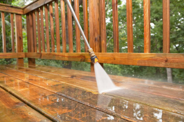 Best Animal Enclosure Cleaning  in Rosharon, TX